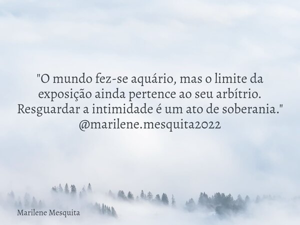 "O mundo fez-se aquário, mas o limite da exposição ainda pertence ao seu arbítrio. Resguardar a intimidade é um ato de soberania." @marilene.mesquita2... Frase de Marilene Mesquita.