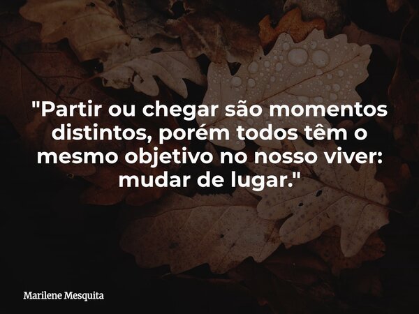 "Partir ou chegar são momentos distintos, porém todos têm o mesmo objetivo no nosso viver: mudar de lugar."... Frase de Marilene Mesquita.