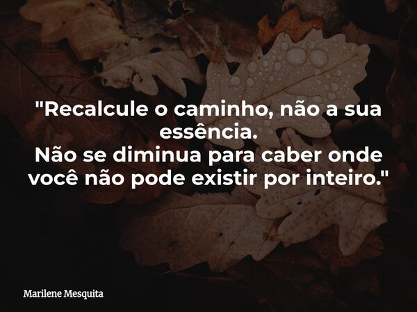 "Recalcule o caminho, não a sua essência. Não se diminua para caber onde você não pode existir por inteiro."... Frase de Marilene Mesquita.