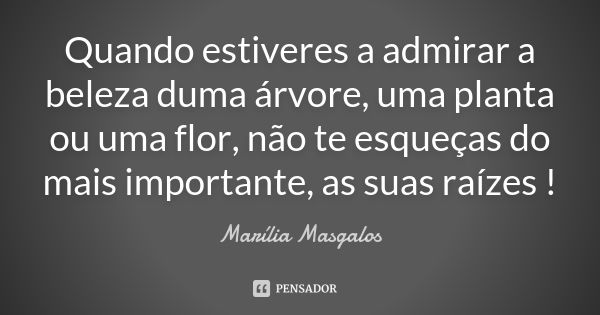 Quando estiveres a admirar a beleza duma árvore, uma planta ou uma flor, não te esqueças do mais importante, as suas raízes !... Frase de Marília Masgalos.