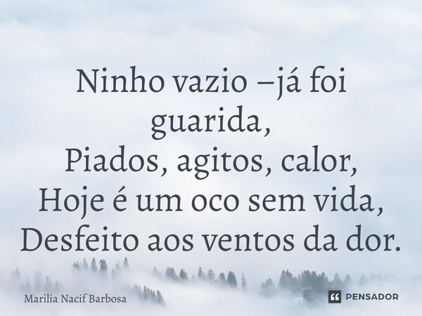⁠Ninho vazio –já foi guarida, Piados, agitos, calor, Hoje é um oco sem vida, Desfeito aos ventos da dor.... Frase de Marilia Nacif Barbosa.