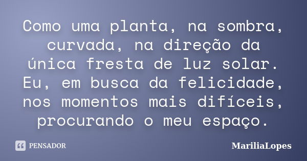 Como uma planta, na sombra, curvada, na direção da única fresta de luz solar. Eu, em busca da felicidade, nos momentos mais difíceis, procurando o meu espaço.... Frase de MaríliaLopes.