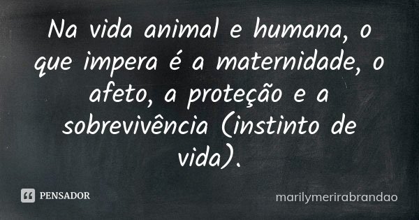 Na vida animal e humana, o que impera é a maternidade, o afeto, a proteção e a sobrevivência (instinto de vida).... Frase de marilymerirabrandao.