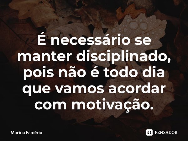 ⁠⁠É necessário se manter disciplinado, pois não é todo dia que vamos acordar com motivação.... Frase de Marina Esmério.