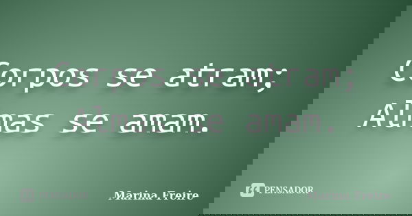 Corpos se atram; Almas se amam.... Frase de Marina Freire.
