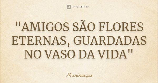 "AMIGOS SÃO FLORES ETERNAS, GUARDADAS NO VASO DA VIDA"... Frase de Marineuza.