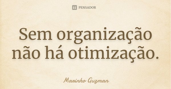Sem organização não há otimização.... Frase de Marinho Guzman.