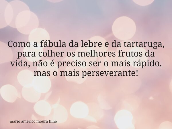 Como a fábula da lebre e da tartaruga, para colher os melhores frutos da vida, não é preciso ser o mais rápido, mas o mais perseverante!... Frase de mario americo moura filho.