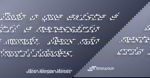 Tudo o que existe é útil e necessário neste mundo. Deus não cria inutilidades.... Frase de Mario Henrique Meireles.