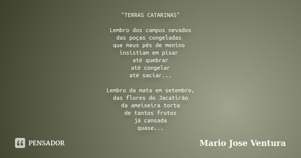 "TERRAS CATARINAS" Lembro dos campos nevados das poças congeladas que meus pés de menino insistiam em pisar até quebrar até congelar até saciar... Lem... Frase de Mario Jose Ventura.