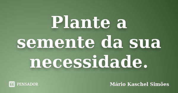 Plante a semente da sua necessidade.... Frase de Mário Kaschel Simões.