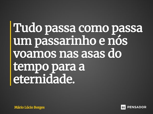 ⁠Tudo passa como passa um passarinho e nós voamos nas asas do tempo para a eternidade.... Frase de Mário Lúcio Borges.