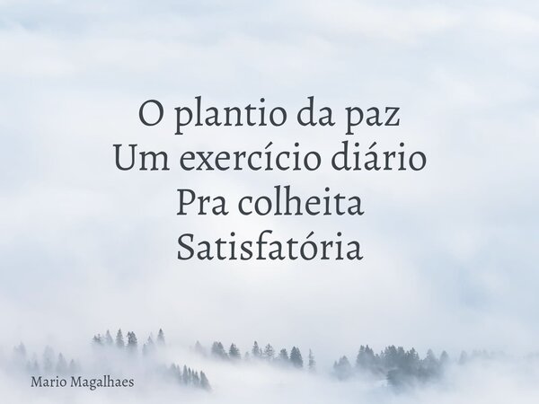 O plantio da paz Um exercício diário Pra colheita Satisfatória... Frase de Mario-Magalhaes.