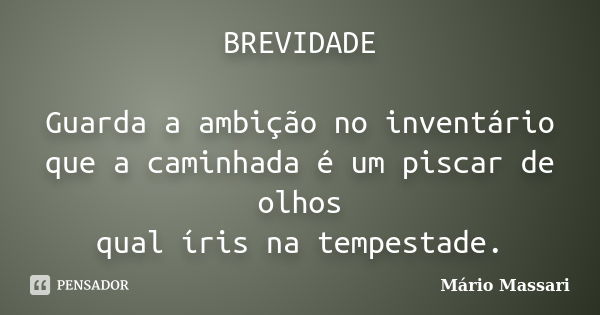 BREVIDADE Guarda a ambição no inventário que a caminhada é um piscar de olhos qual íris na tempestade.... Frase de Mário Massari.