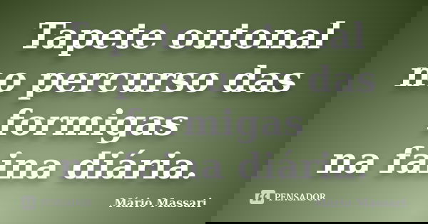 Tapete outonal no percurso das formigas na faina diária.... Frase de Mário Massari.