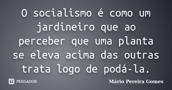 O socialismo é como um jardineiro que ao perceber que uma planta se eleva acima das outras trata logo de podá-la.... Frase de Mário Pereira Gomes.