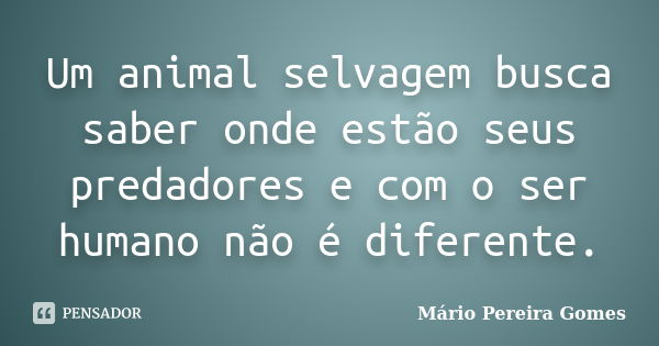 Um animal selvagem busca saber onde estão seus predadores e com o ser humano não é diferente.... Frase de Mário Pereira Gomes.