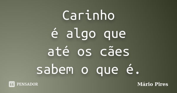 Carinho é algo que até os cães sabem o que é.... Frase de Mário Pires.