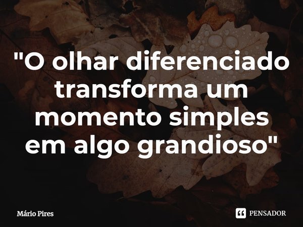 ⁠"O olhar diferenciado
transforma um momento simples
em algo grandioso"... Frase de Mário Pires.