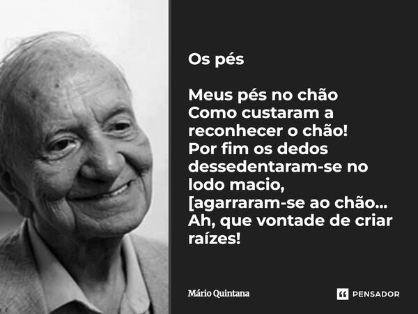 ⁠Os pés Meus pés no chão Como custaram a reconhecer o chão! Por fim os dedos dessedentaram-se no lodo macio, [agarraram-se ao chão... Ah, que vontade de criar r... Frase de Mario Quintana.