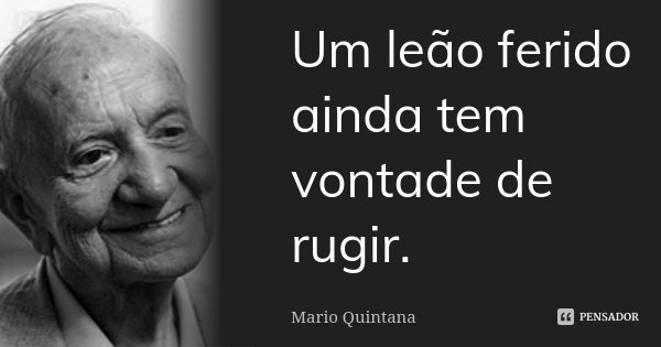 Um leão ferido ainda tem vontade de rugir.... Frase de Mario Quintana.