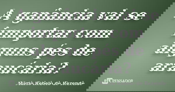A ganância vai se importar com alguns pés de araucária?... Frase de Mario rebelo de Rezende.