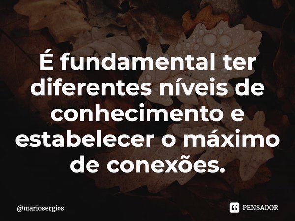 ⁠É fundamental ter diferentes níveis de conhecimento e estabelecer o máximo de conexões.... Frase de mariosergios.