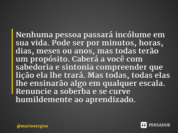 ⁠Nenhuma pessoa passará incólume em sua vida. Pode ser por minutos, horas, dias, meses ou anos, mas todas terão um propósito. Caberá a você com sabedoria e sint... Frase de mariosergios.