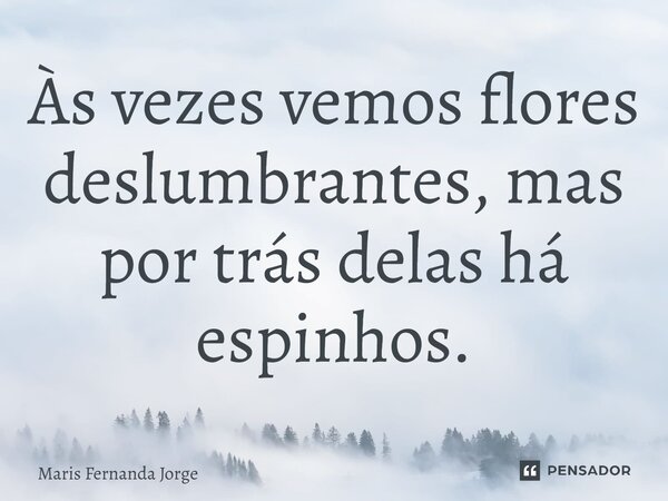 Às vezes vemos flores deslumbrantes, mas por trás delas há espinhos.... Frase de Maris Fernanda Jorge.
