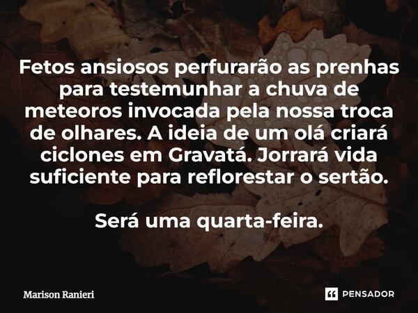 Fetos ansiosos perfurarão as prenhas para testemunhar a chuva de meteoros invocada pela nossa troca de olhares. A ideia de um olá criará ciclones em Gravatá. Jo... Frase de Marison Ranieri.