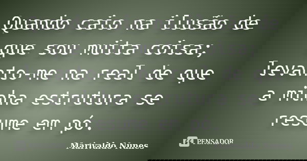 Quando caio na ilusão de que sou muita coisa; levanto-me na real de que a minha estrutura se resume em pó.... Frase de Marivaldo Nunes.