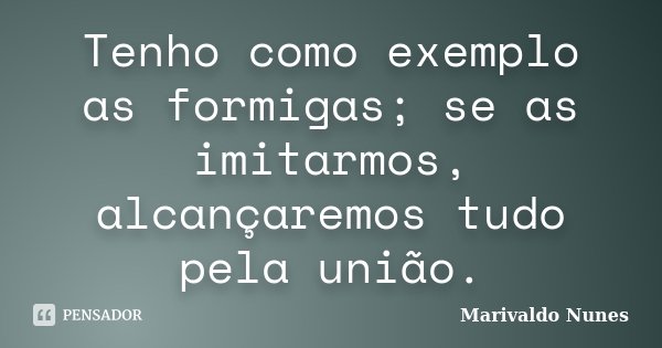 Tenho como exemplo as formigas; se as imitarmos, alcançaremos tudo pela união.... Frase de Marivaldo Nunes.