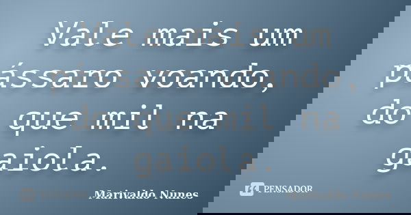 Vale mais um pássaro voando, do que mil na gaiola.... Frase de Marivaldo Nunes.