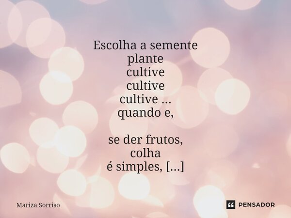 ⁠ Escolha a semente plante cultive cultive cultive ... quando e, se der frutos, colha é simples, mas dá trabalho.... Frase de Mariza Sorriso.