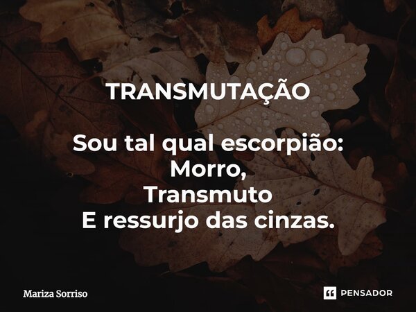 ⁠ ⁠TRANSMUTAÇÃO Sou tal qual escorpião: Morro, Transmuto E ressurjo das cinzas.... Frase de Mariza Sorriso.