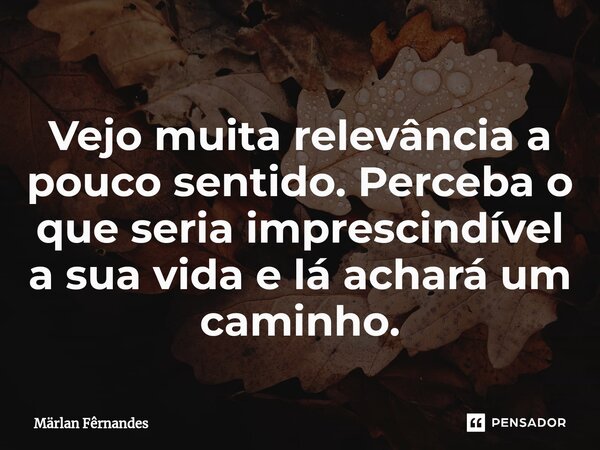 ⁠Vejo muita relevância a pouco sentido. Perceba o que seria imprescindível a sua vida e lá achará um caminho.... Frase de Märlan Fêrnandes.