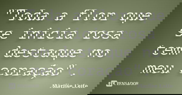 "Toda a flor que se inicia rosa tem destaque no meu coração".... Frase de Marlise Leite.