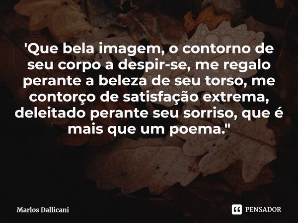 ⁠'Que bela imagem, o contorno de seu corpo a despir-se, me regalo perante a beleza de seu torso, me contorço de satisfação extrema, deleitado perante seu sorris... Frase de Marlos Dallicani.