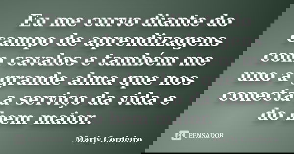 Eu me curvo diante do campo de aprendizagens com cavalos e também me uno a grande alma que nos conecta a serviço da vida e do bem maior.... Frase de Marly Cordeiro.