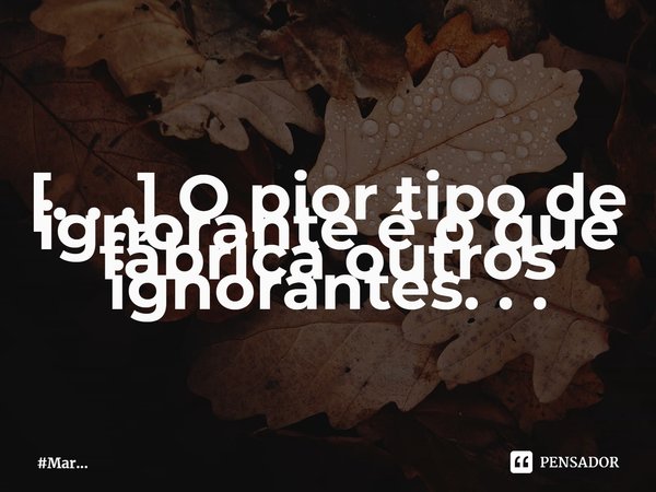 ⁠[. . .] O pior tipo de ignorante é o que fábrica outros ignorantes. . .... Frase de MarceloMar.