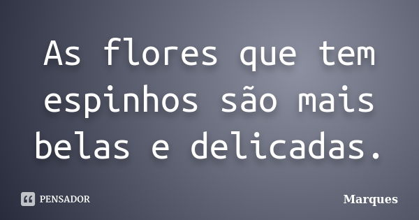 As flores que tem espinhos são mais belas e delicadas.... Frase de Marques.