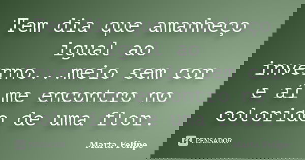 Tem dia que amanheço igual ao inverno...meio sem cor e aí me encontro no colorido de uma flor.... Frase de Marta Felipe.