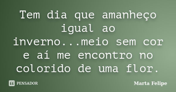 Tem dia que amanheço igual ao inverno...meio sem cor e aí me encontro no colorido de uma flor.... Frase de Marta Felipe.