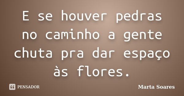 E se houver pedras no caminho a gente chuta pra dar espaço às flores.... Frase de Marta Soares.