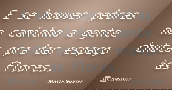 E se houver pedras no caminho a gente chuta pra dar espaço às flores.... Frase de Marta Soares.