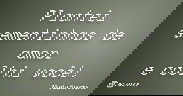 Plantei sementinhas de amor e colhi você!... Frase de Marta Soares.