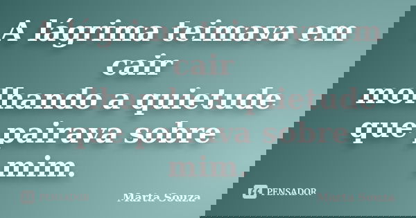 A lágrima teimava em cair molhando a quietude que pairava sobre mim.... Frase de Marta Souza.