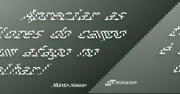 Apreciar as flores do campo é um afago no olhar!... Frase de Marta Souza.