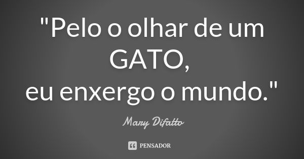 "Pelo o olhar de um GATO, eu enxergo o mundo."... Frase de Mary Difatto.