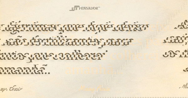 As lágrimas que hoje deixo cair, são fertilizantes para os frutos que colherei amanhã...... Frase de Mary Fenix.